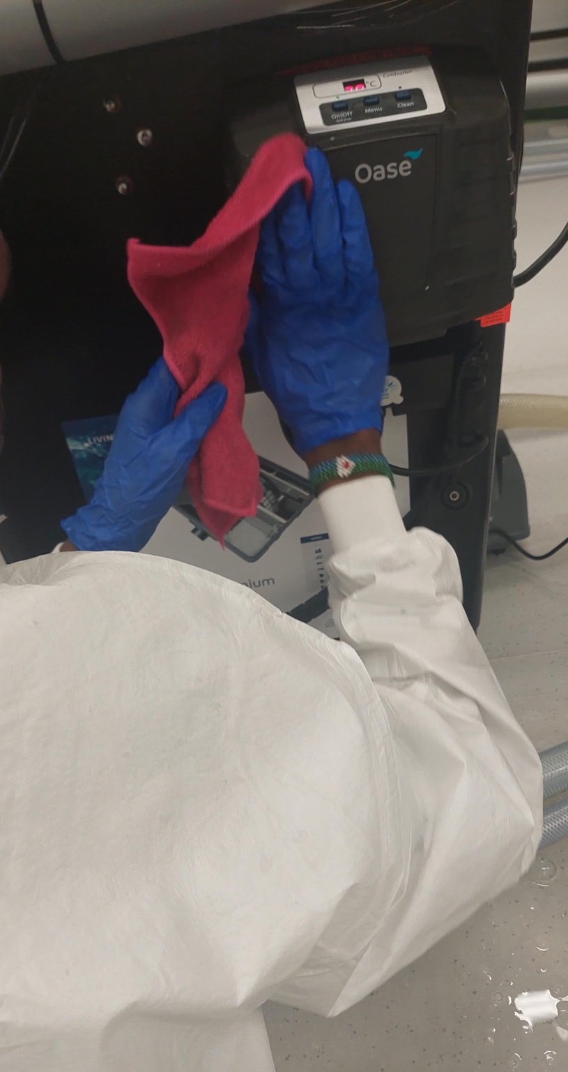 Nadif Omni field work photo 4