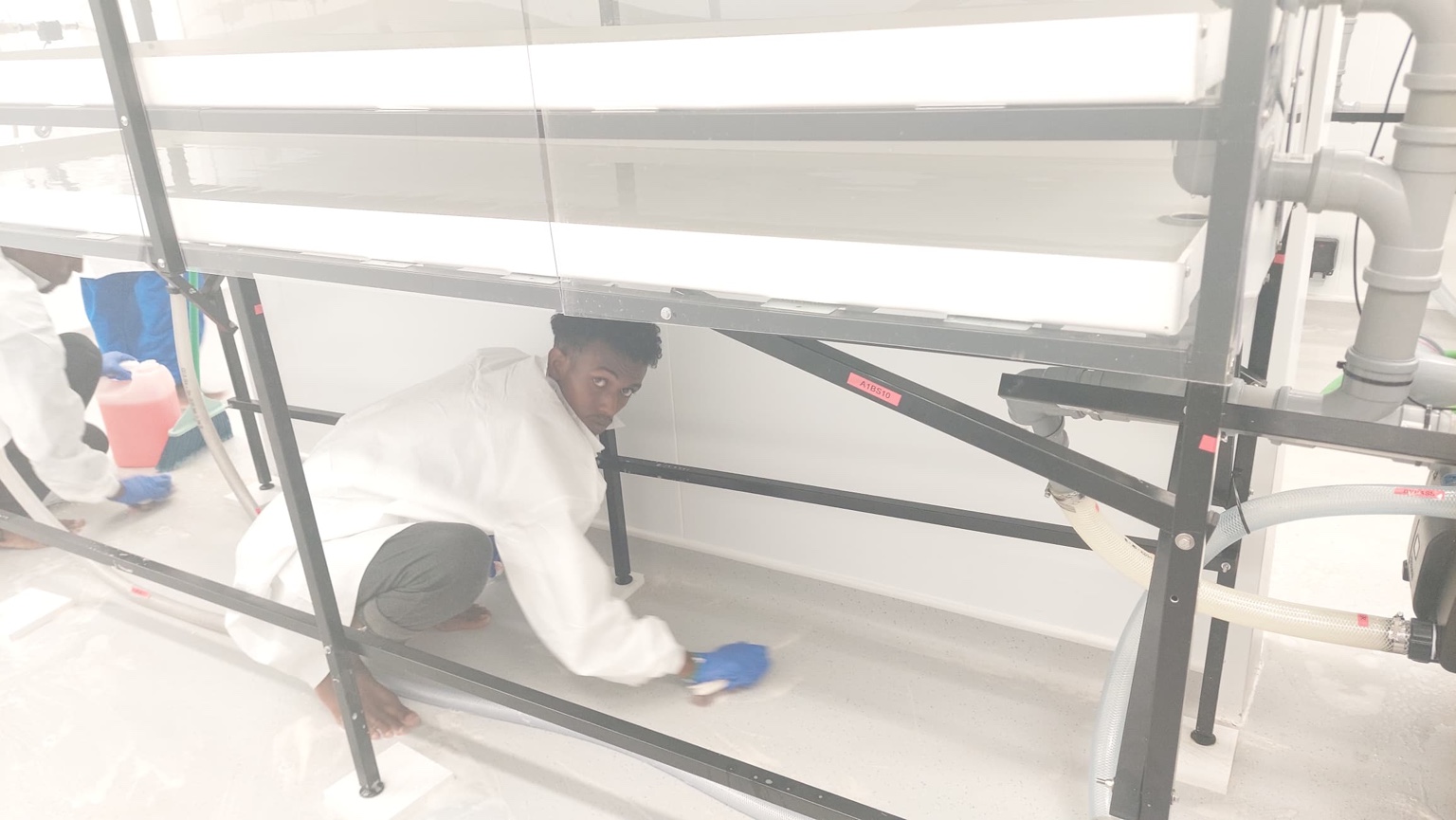 Nadif Omni field work photo 6